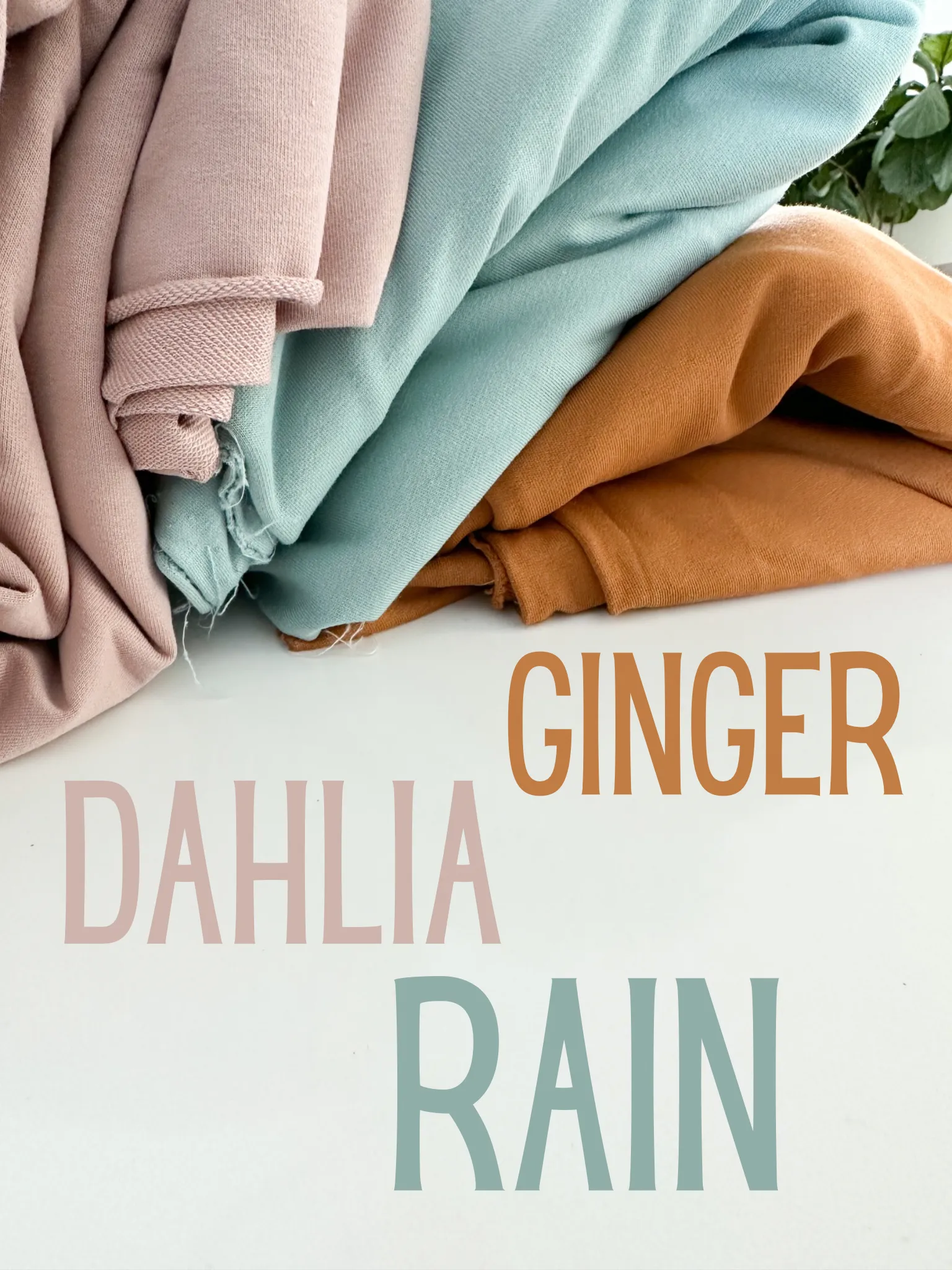 Rolled Hem Pocket Shorts : Rain